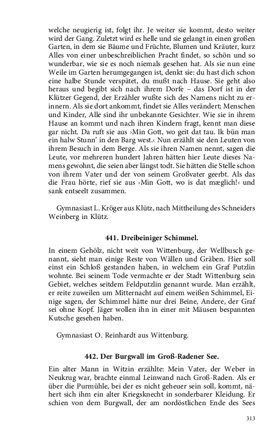 Seite 313