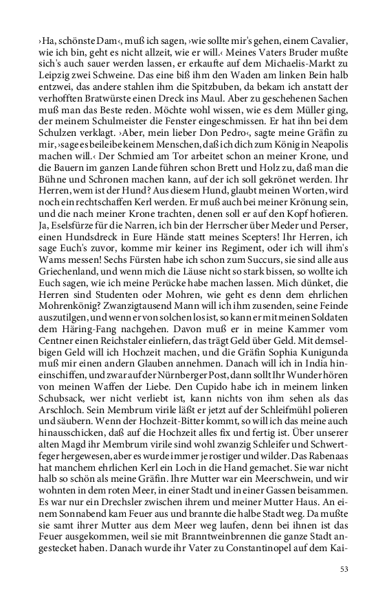 Seite 53