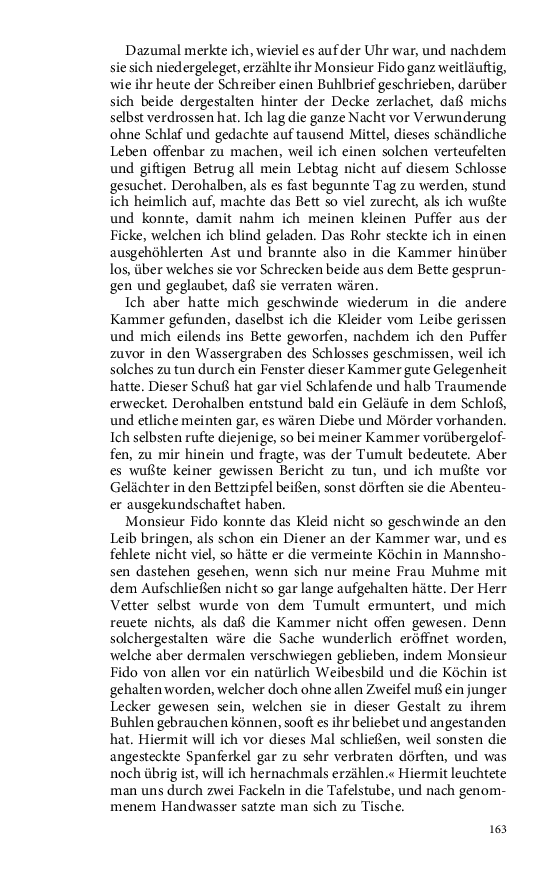 Seite 163