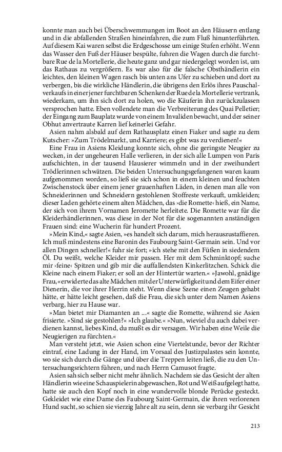 Seite 213