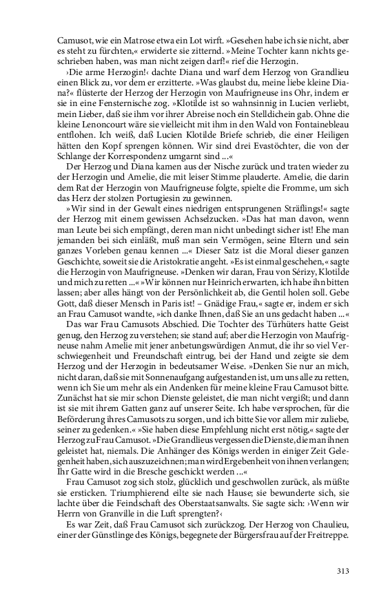 Seite 313