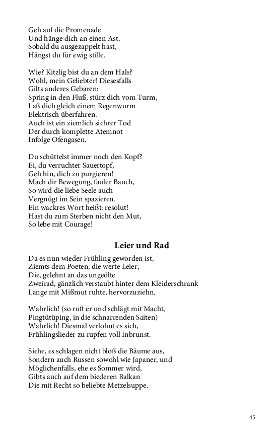Seite 45