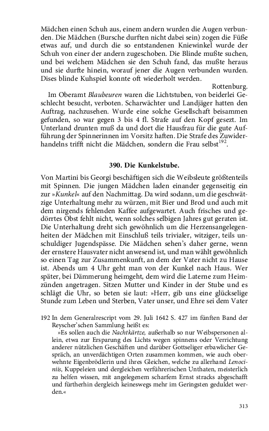 Seite 313