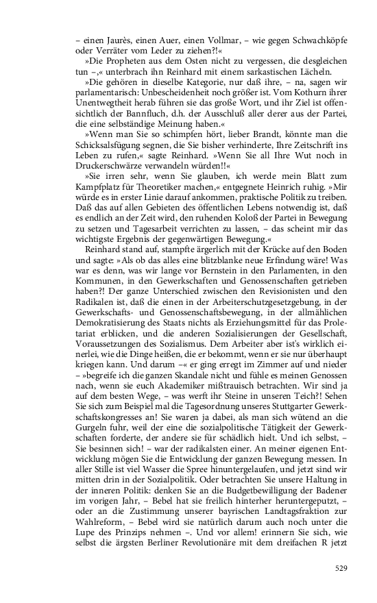 Seite 529