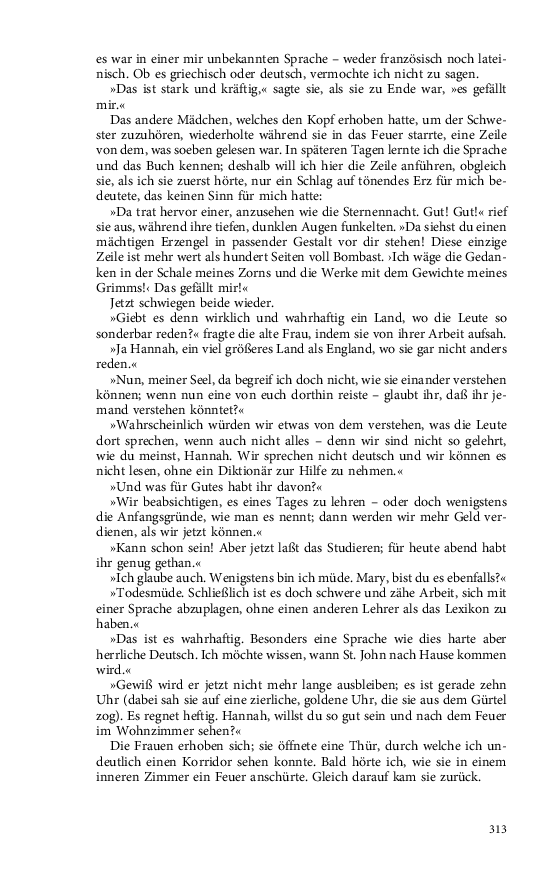 Seite 313