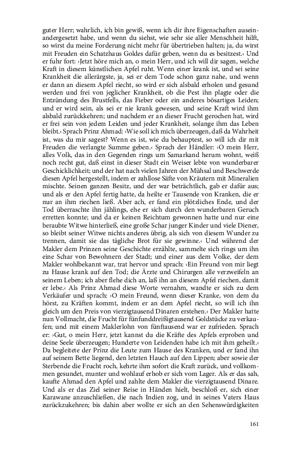Seite 161