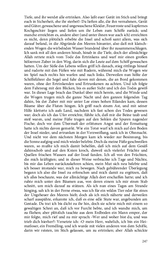Seite 247