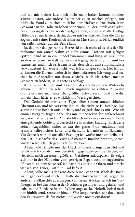 Seite 113