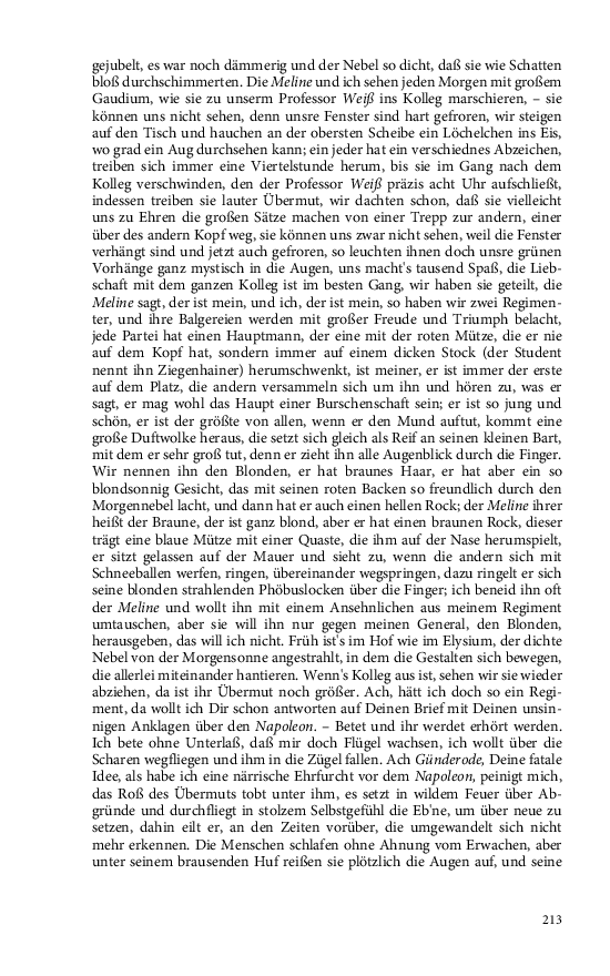 Seite 213
