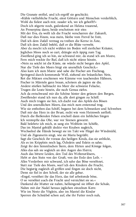 Seite 307