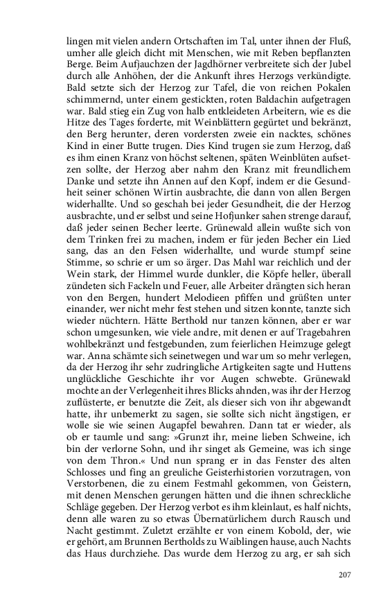 Seite 207