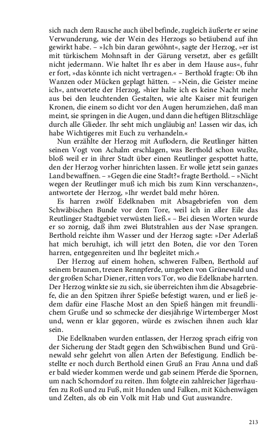 Seite 213