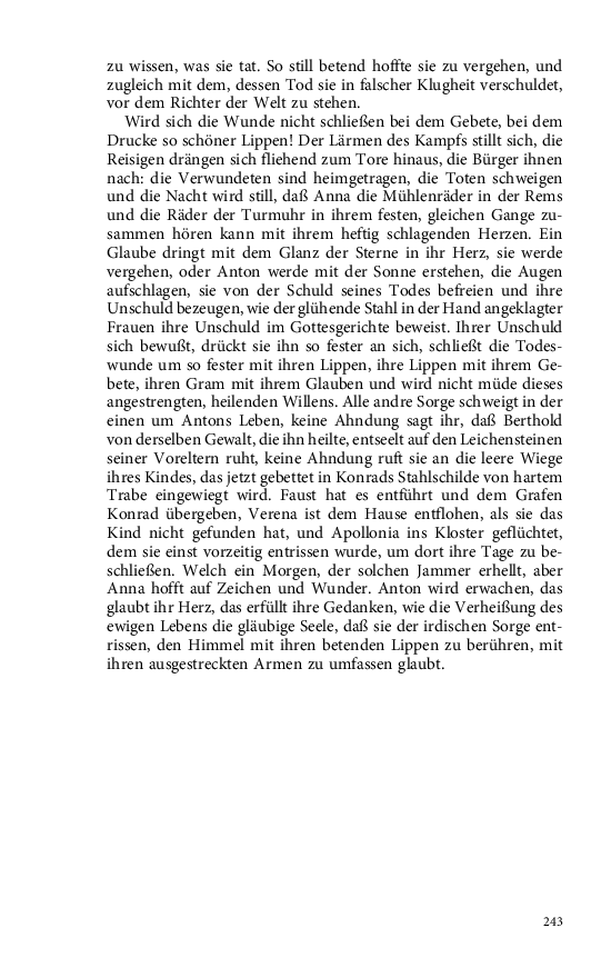 Seite 243