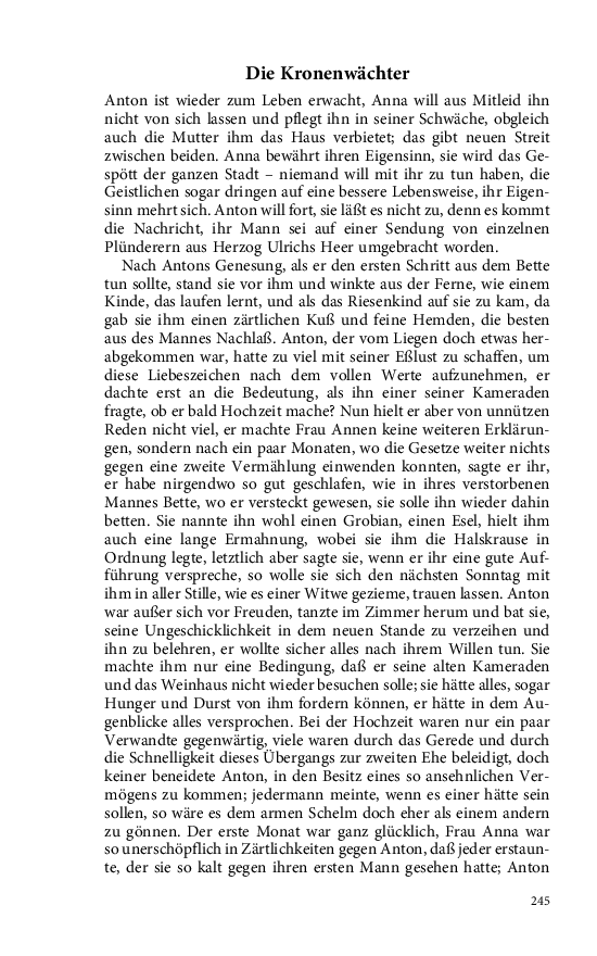 Seite 245