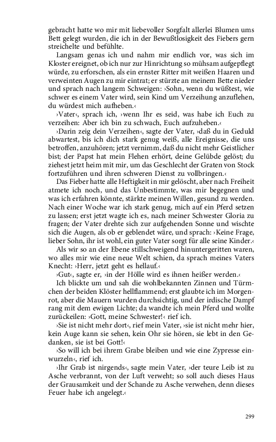 Seite 299