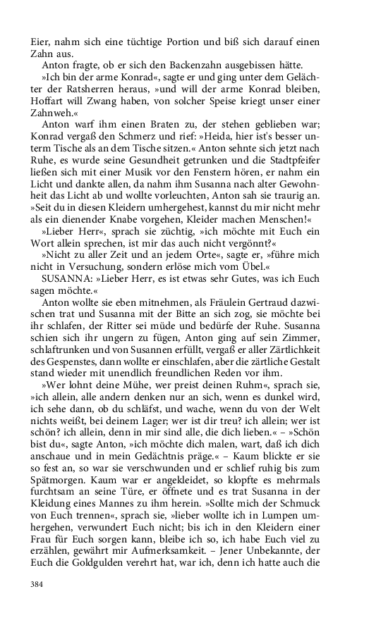 Seite 384