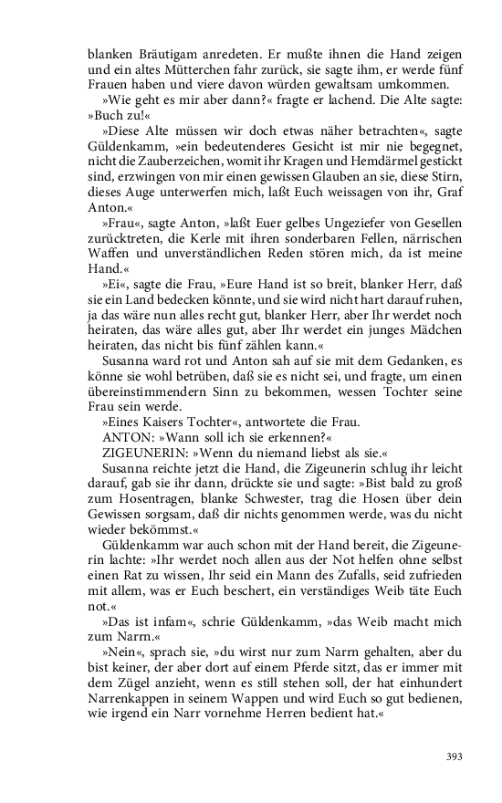 Seite 393