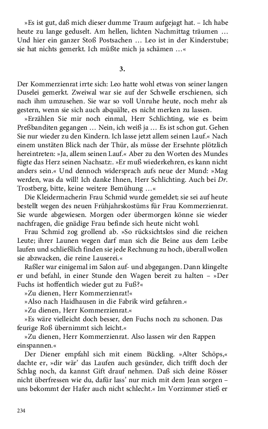 Seite 234