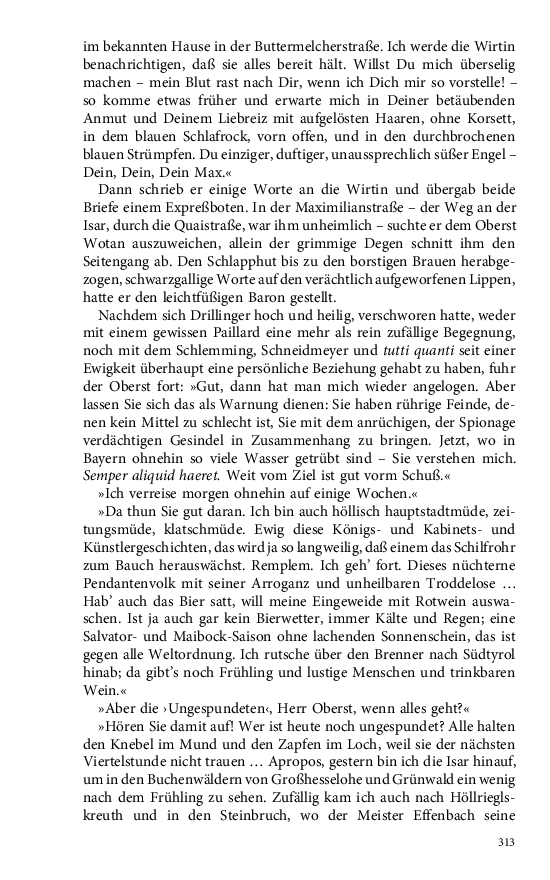 Seite 313