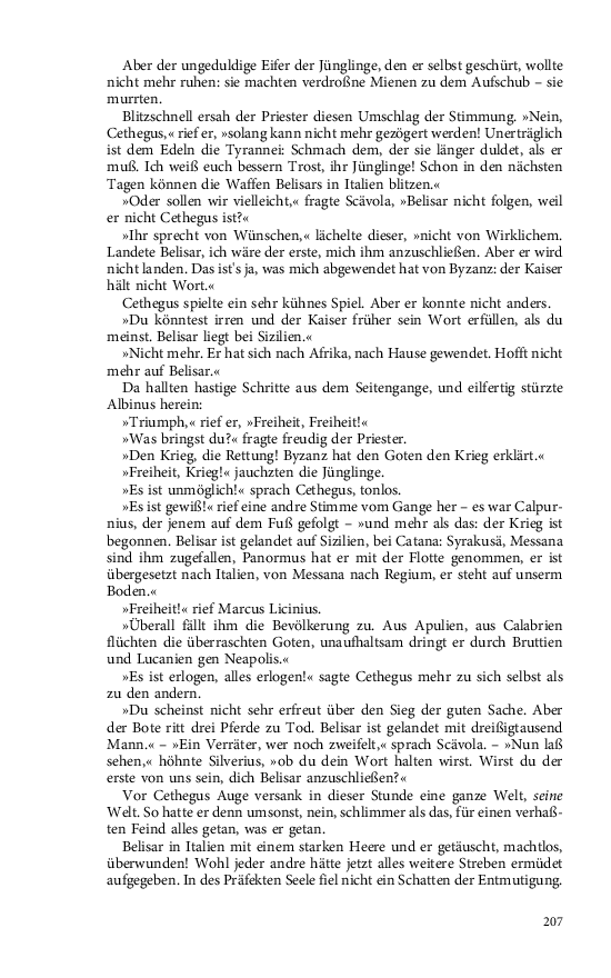 Seite 207