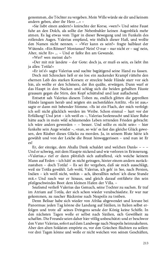 Seite 213