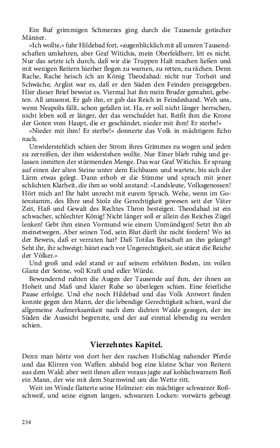Seite 234