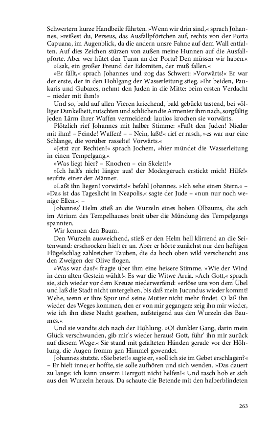 Seite 263