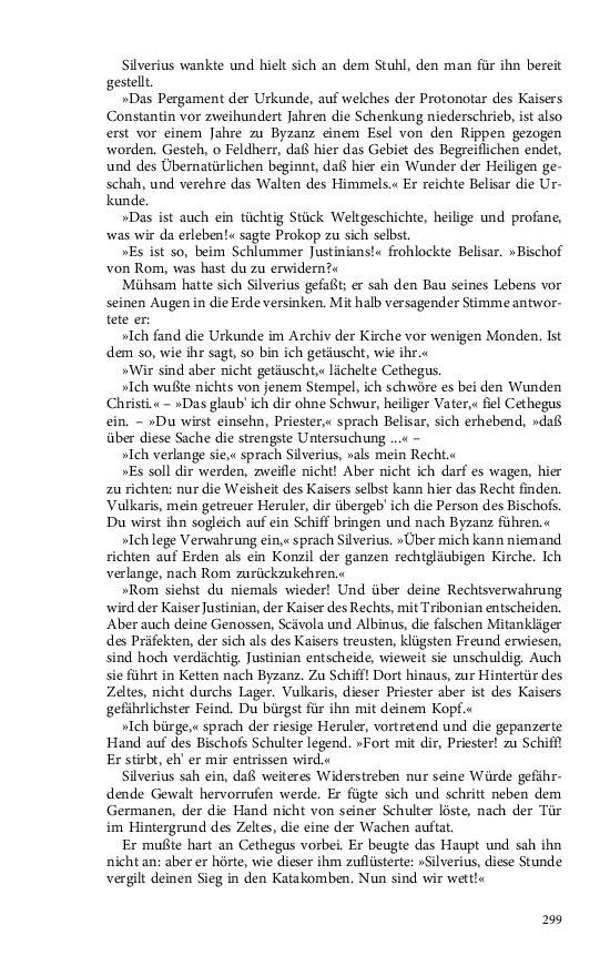 Seite 299