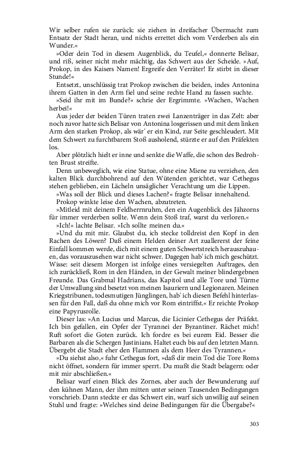 Seite 303
