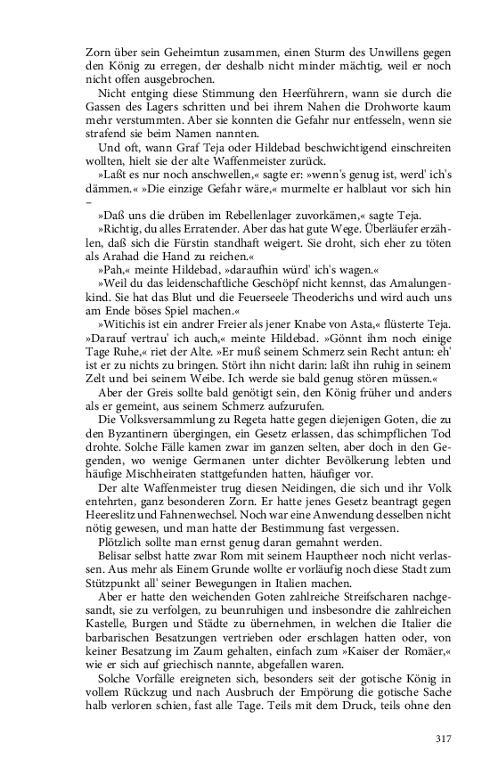 Seite 317