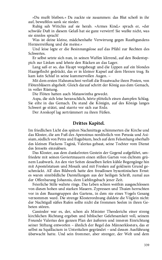 Seite 339
