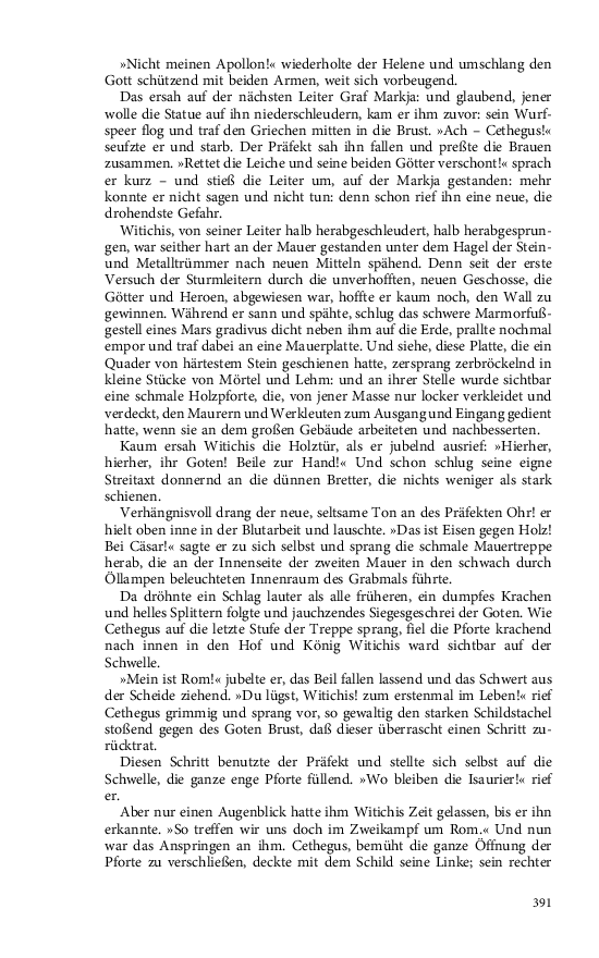 Seite 391