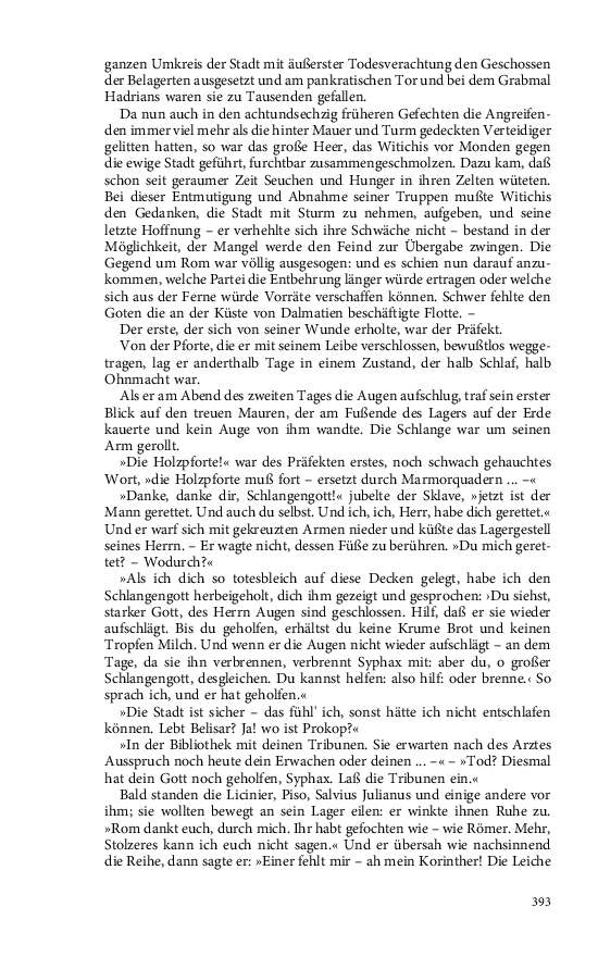 Seite 393