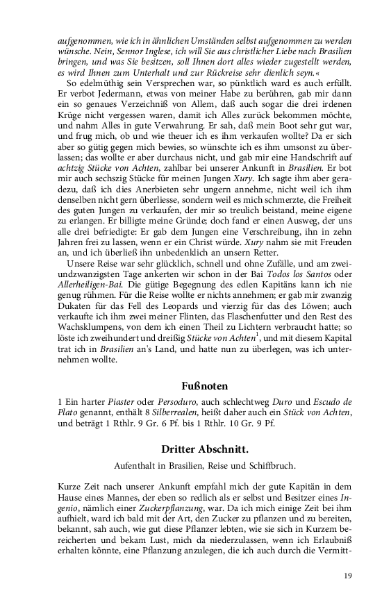 Seite 19