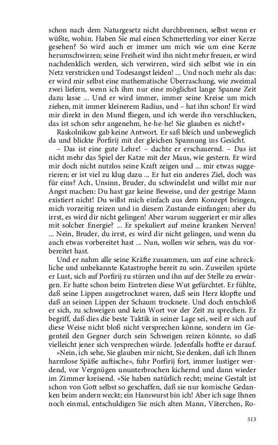Seite 313