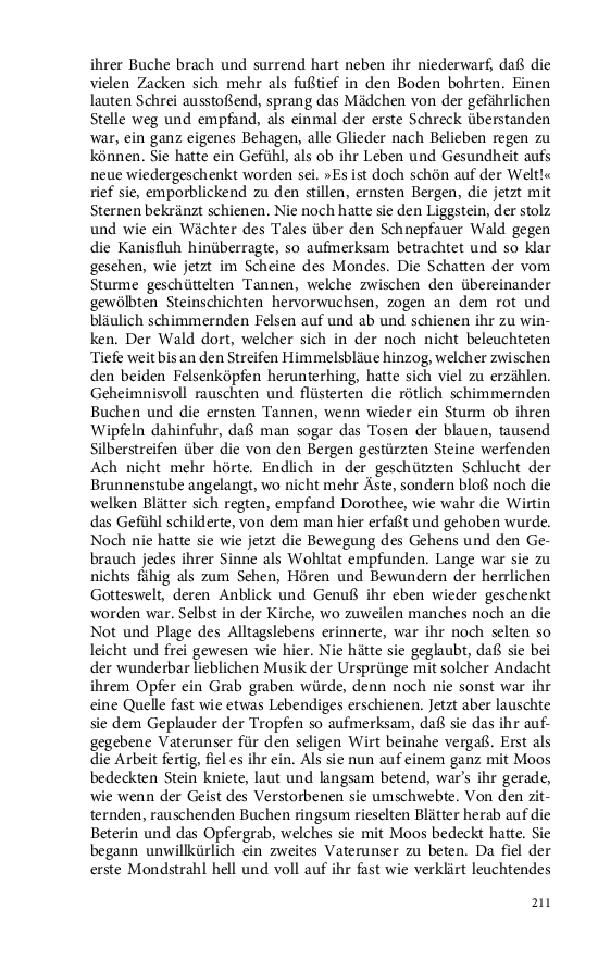 Seite 211