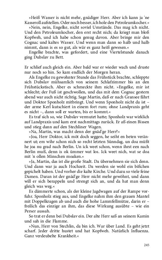 Seite 245