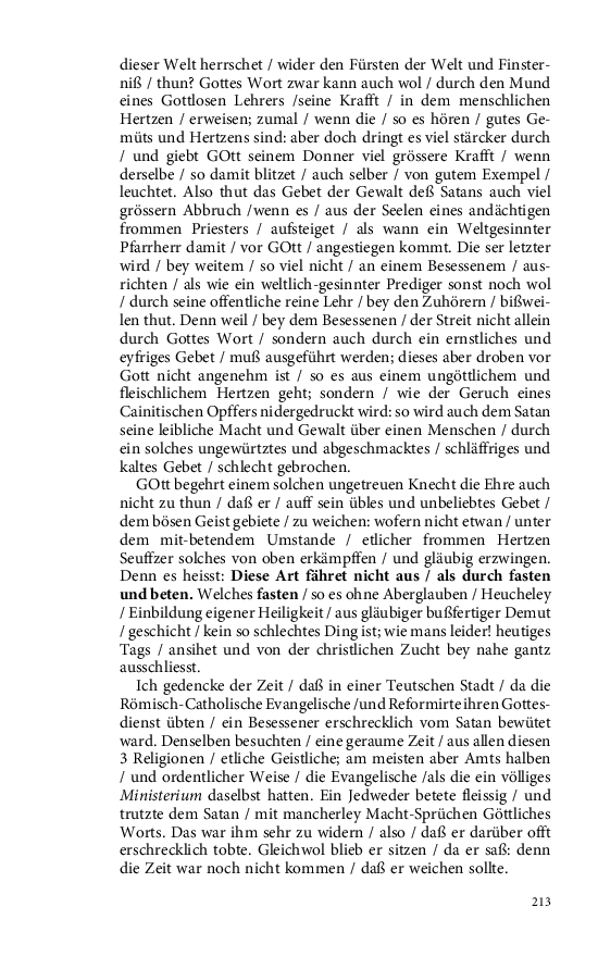 Seite 213