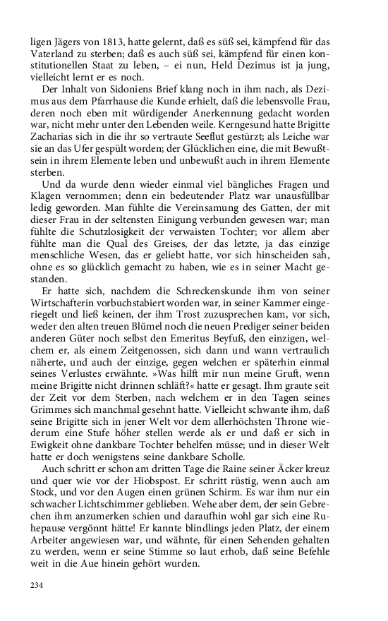 Seite 234