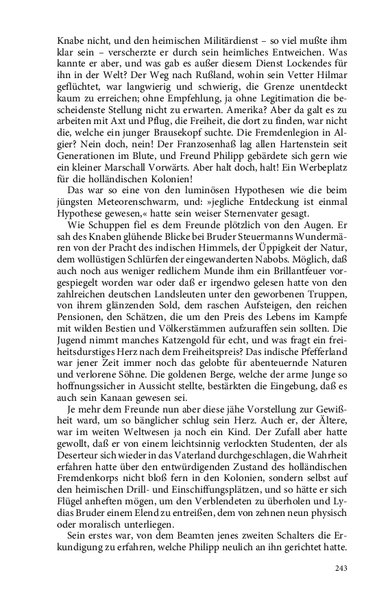 Seite 243