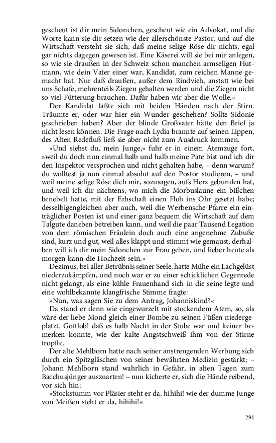 Seite 291