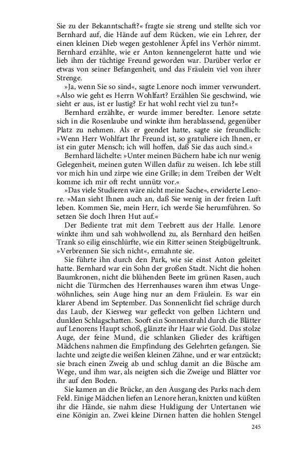 Seite 245