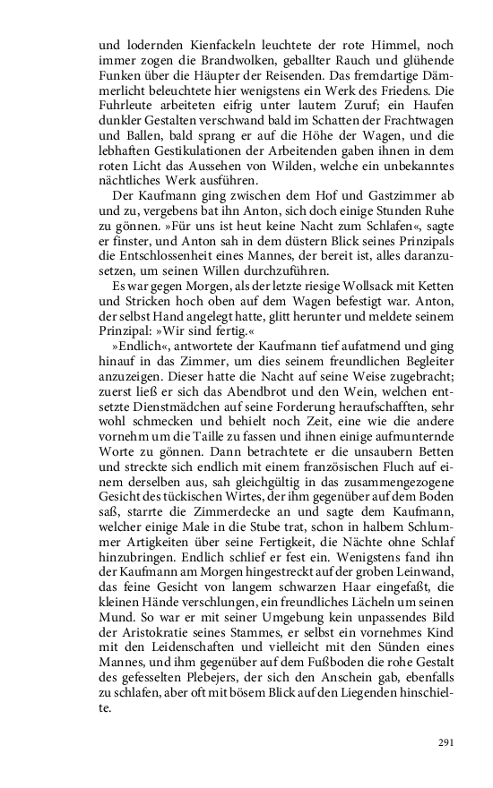 Seite 291