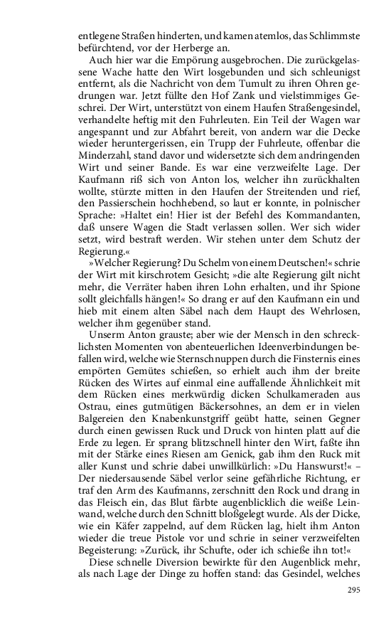 Seite 295