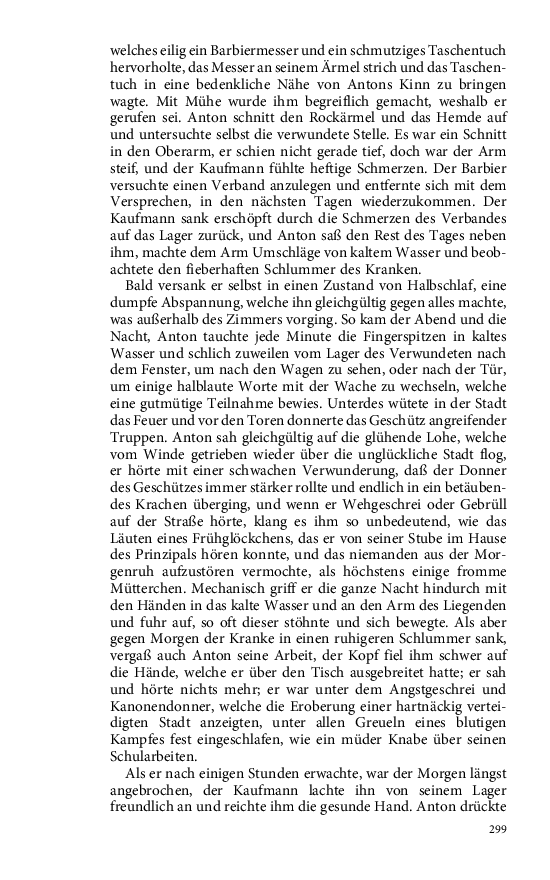 Seite 299