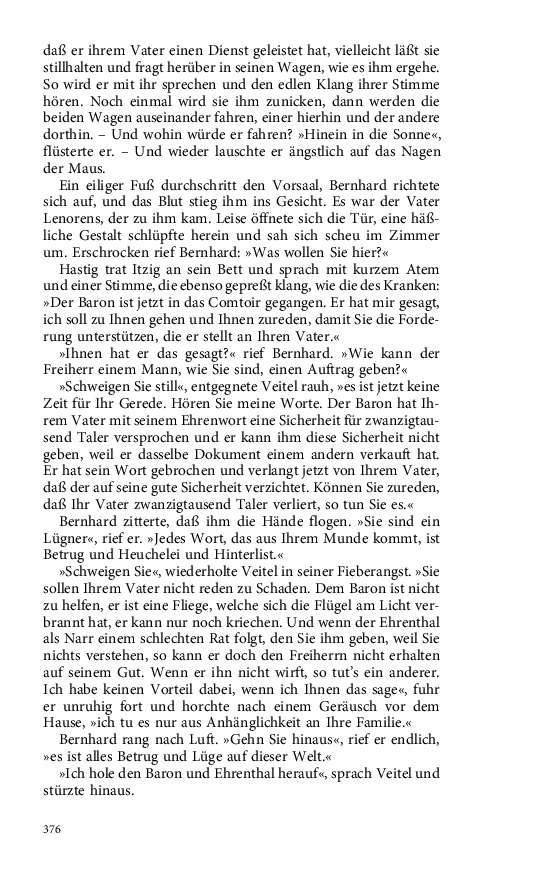 Seite 376