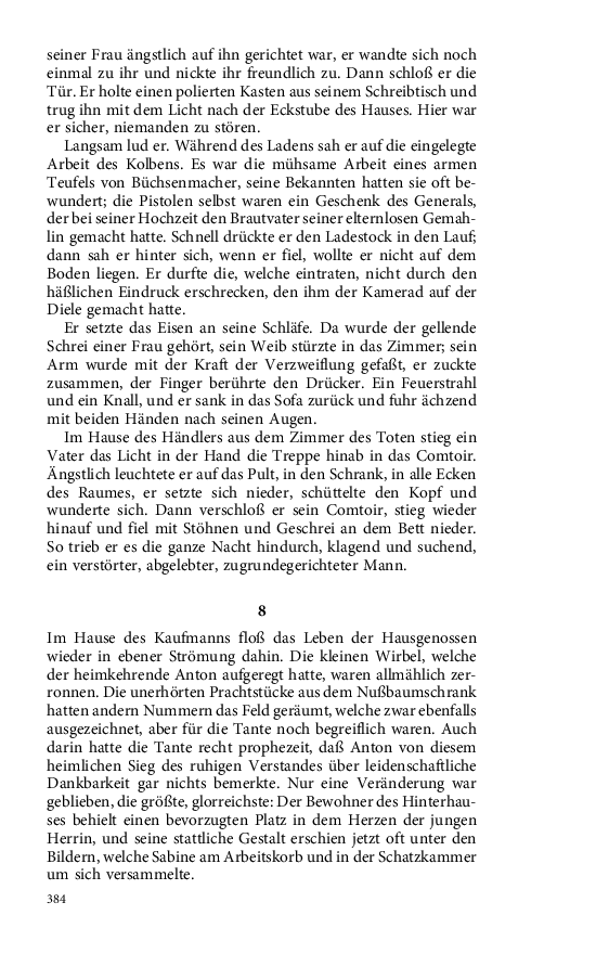 Seite 384