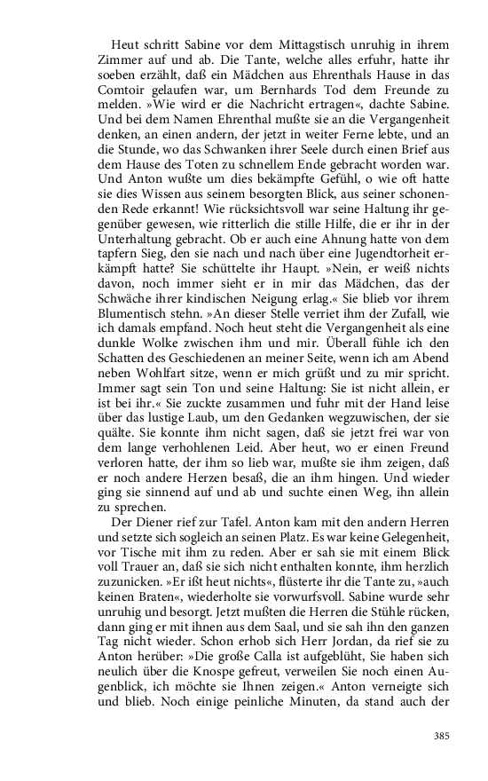 Seite 385
