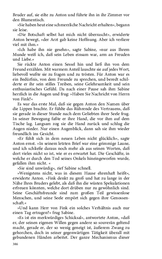 Seite 386