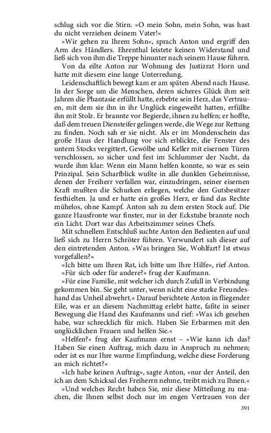 Seite 391